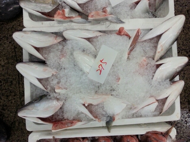 大海水産のお勧め魚 熊本県産養殖ブリ頭 大海水産株式会社