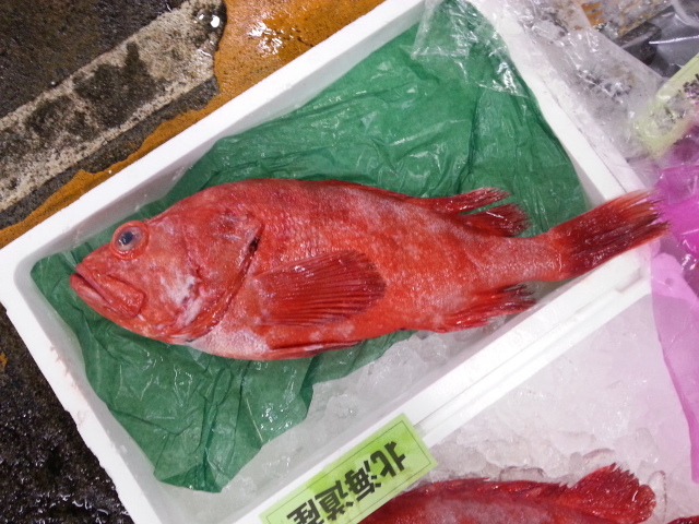 大海水産のお勧め魚 北海道産サンコウメヌケ 大海水産株式会社